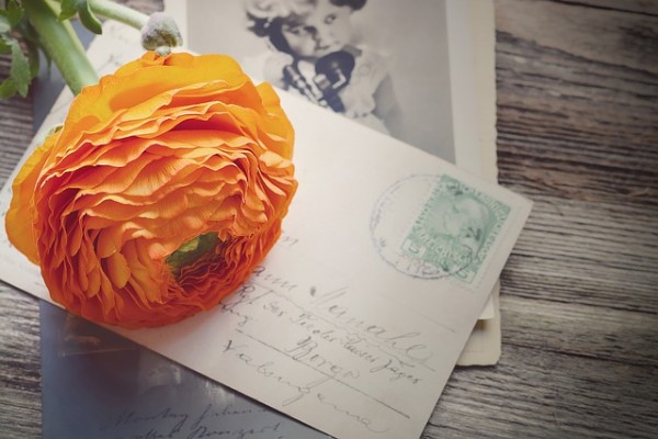 ranunculus-1244672_640